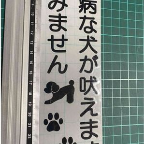 臆病な犬が吠えます!ステッカー(色変更可能)