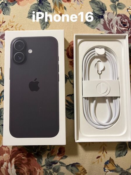 Apple iPhone16(ブラック)空箱 付属純正充電ケーブル SIMピン