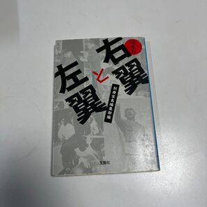 日本の右翼と左翼
