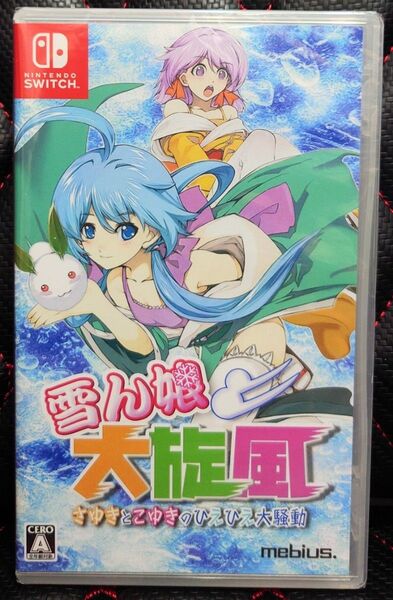 ニンテンドーSwitch 雪ん娘大旋風 ~さゆきとこゆきのひえひえ大騒動~