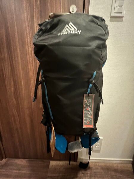 新品 グレゴリー バックパック ターギー24 FT TARGHEE GREGORY スキー 登山 ザック