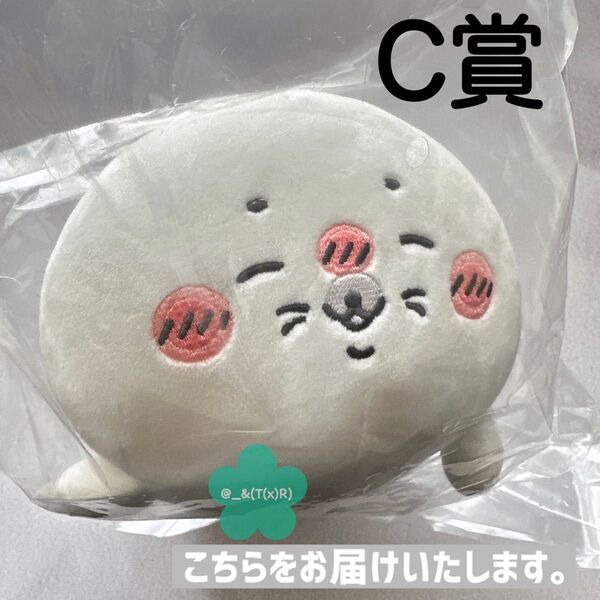 新品ビニール未開封品 ナガノの水族館 アザラシぬいぐるみくじ C賞 ぬいぐるみ小