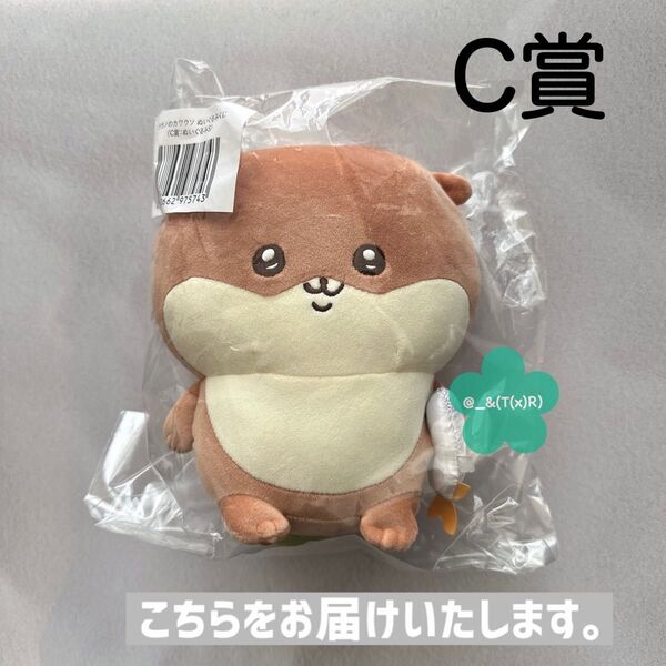 新品ビニール未開封品 ナガノのカワウソ ぬいぐるみくじ C賞 ぬいぐるみS ×1点