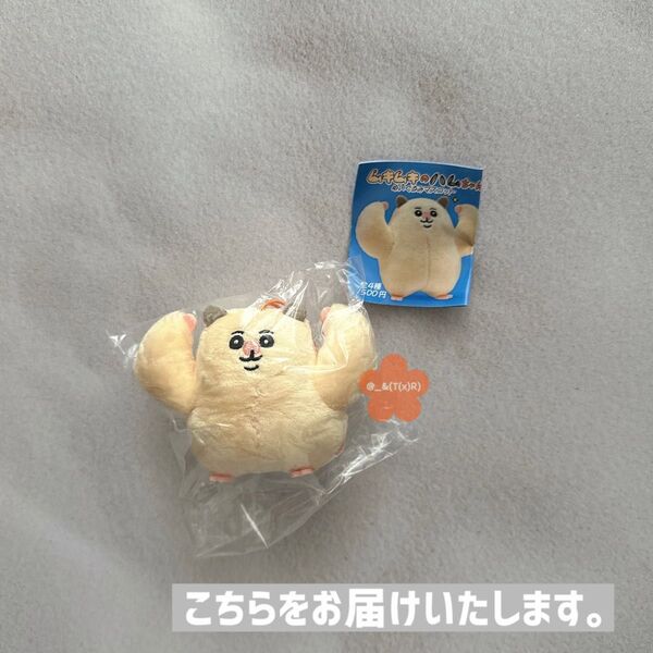 yukke ムキムキのハムちゃん ぬいぐるみマスコット ムキムキポーズ ×1点