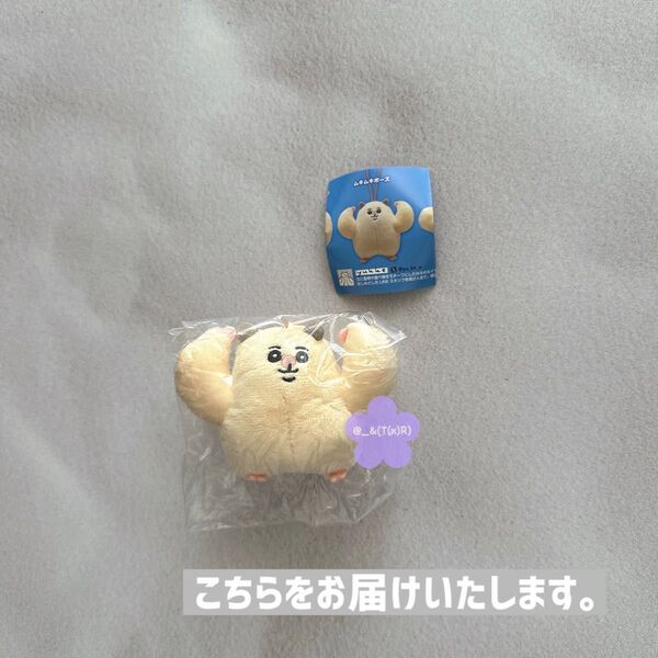 yukke ムキムキのハムちゃん ぬいぐるみマスコット ムキムキポーズ ×1点