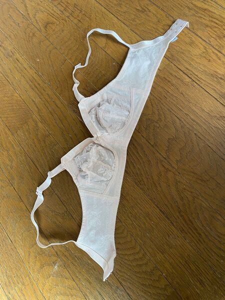 ブラジャー …シャルレ