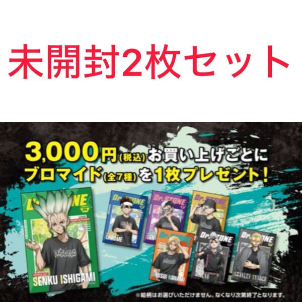 Dr.STONE ドクスト POP UP STORE SHIBUYA109 WALLMA 特典 ブロマイド 未開封 2個セット