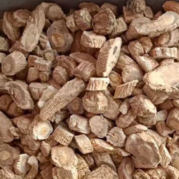 板藍根(ばんらんこん)乾燥スライス50g 健康茶Diy 自然素材のお茶づくり用ハーブ」