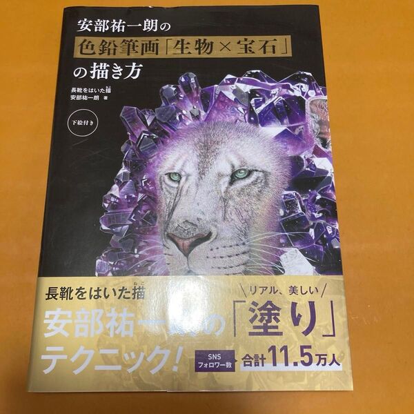 安部祐一朗の色鉛筆画「生物×宝石」の描き方 安部祐一朗/著