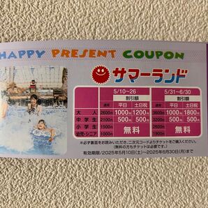 東京サマーランド 利用券 5/10-6/30