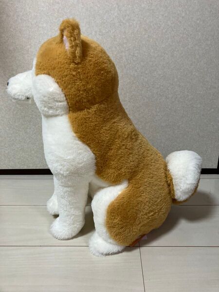 ほっこり 秋田犬 八兵衛 BIGぬいぐるみ
