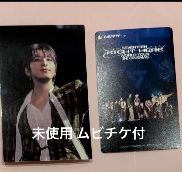 SEVENTEEN セブチ ムビチケ ウォヌ