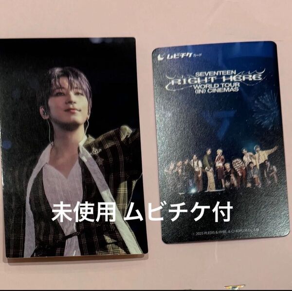 SEVENTEEN セブチ ムビチケ ウォヌ