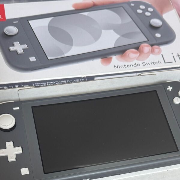 Switch ライト スイッチライト グレー 本体