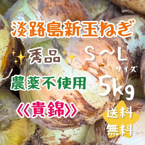 淡路島新玉ねぎ 5キロ 5kg 農家直送 貴錦