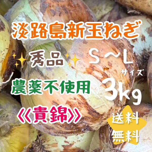 淡路島新玉ねぎ 貴錦 3kg 3キロ 農薬不使用 農家直売 無農薬栽培