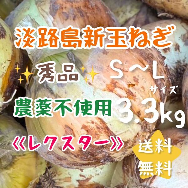 淡路島新玉ねぎ レクスター 3kg 3キロ 農家直売 農薬不使用 無農薬栽培