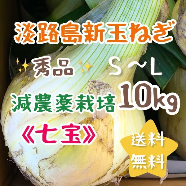 淡路島新玉ねぎ 10kg 10キロ 農家直売 スイーツ玉ねぎ 送料無料 七宝 減農薬栽培