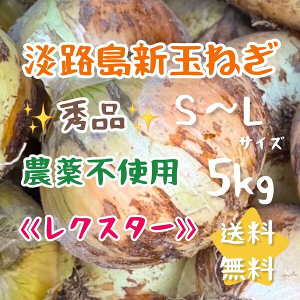 淡路島新玉ねぎ 5kg 5キロ 農家直売 淡路島玉ねぎ 無農薬栽培 農薬不使用 新玉 甘い 美味しい