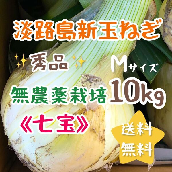淡路島新玉ねぎ 10kg 10キロ 農家直売 スイーツ玉ねぎ 送料無料 七宝 農薬不使用 無農薬栽培