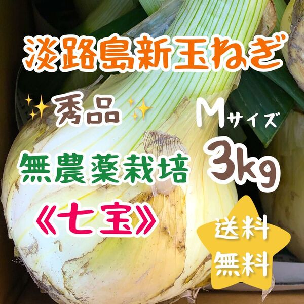 淡路島新玉ねぎ 3kg 3キロ 農家直売 スイーツ玉ねぎ 送料無料 七宝 農薬不使用 無農薬栽培