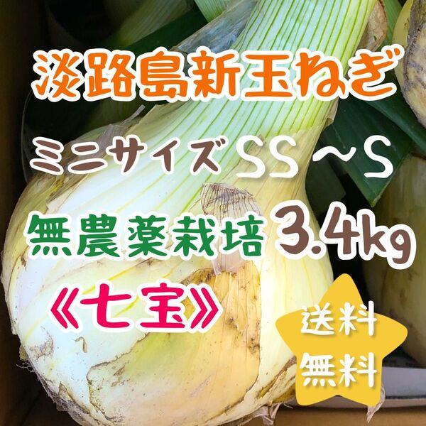 淡路島新玉ねぎ 無農薬栽培 3.4kg スイーツ玉ねぎ ミニサイズ 3kg 甘い 美味しい 農家直売 使い切り お試し 農薬不使用