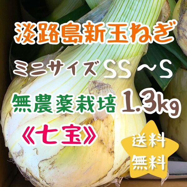淡路島新玉ねぎ 無農薬栽培 1.3kg スイーツ玉ねぎ ミニサイズ 1kg 甘い 美味しい 農家直売 使い切り お試し 農薬不使用