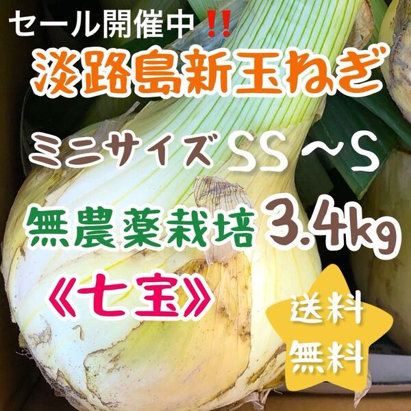 淡路島新玉ねぎ 無農薬栽培 3.4kg スイーツ玉ねぎ ミニサイズ 3kg 甘い 美味しい 農家直売 使い切り お試し 農薬不使用