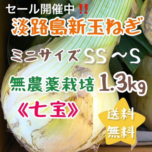 淡路島新玉ねぎ 無農薬栽培 1.3kg スイーツ玉ねぎ ミニサイズ 1kg 甘い 美味しい 農家直売 使い切り お試し 農薬不使用