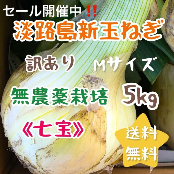 訳あり 淡路島新玉ねぎ 5kg 5キロ 農家直売 スイーツ玉ねぎ 送料無料 七宝 農薬不使用 無農薬栽培