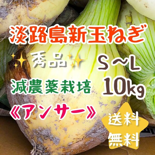 淡路島新玉ねぎ アンサー 10キロ 10kg 減農薬栽培 安心 安全 美味しい 農家直売 甘い 新玉