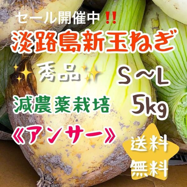 淡路島新玉ねぎ アンサー 5キロ 5kg 減農薬栽培 安心 安全 美味しい 農家直売 甘い 新玉