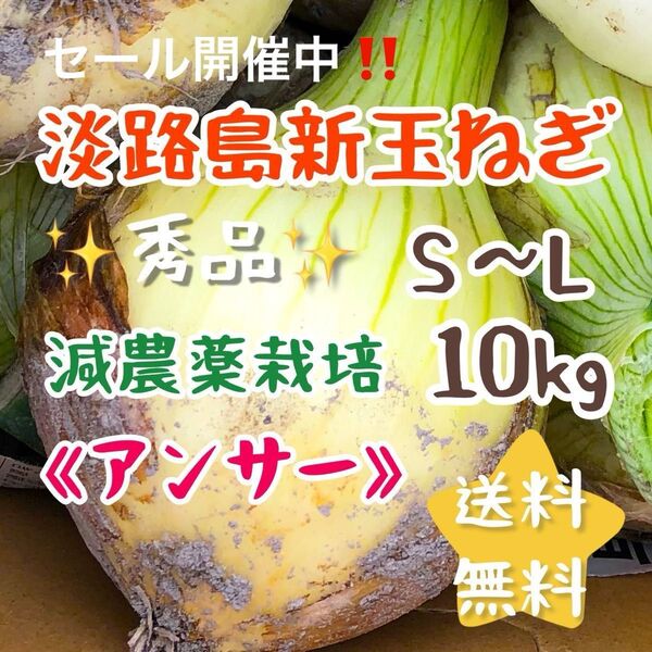 淡路島新玉ねぎ アンサー 10キロ 10kg 減農薬栽培 安心 安全 美味しい 農家直売 甘い 新玉