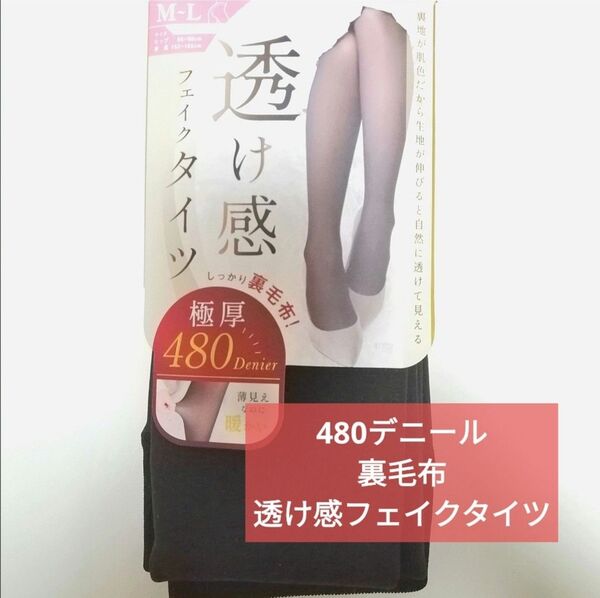 透け感 フェイクタイツ 極厚 480デニール 黒 裏毛布 M L