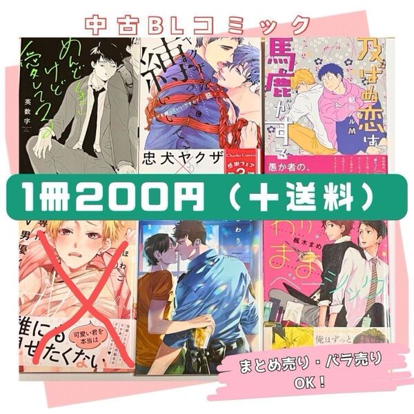 BLコミック/まとめ売り/バラ売り/200円