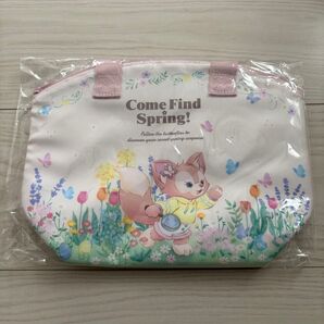 ディズニーシー リーナベル 未使用 スーベニア ランチケース 完売 バッグ TDS ダッフィー ディズニー ジェラトーニ クッキー