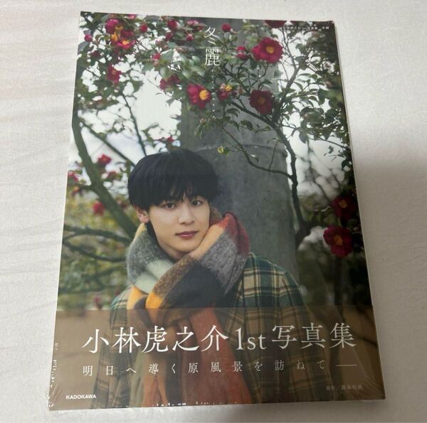 小林虎之介1st写真集