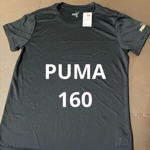 半袖 Tシャツ 半袖Tシャツ プーマ