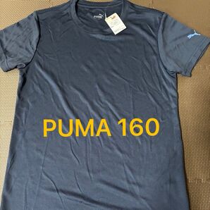 Tシャツ 半袖