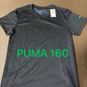 Tシャツ 半袖