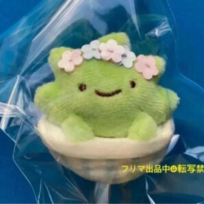 ★新品未使用★すみっコぐらし ざっそう 花かんむり てのりぬいぐるみ