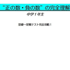 ※数学オリジナル単元別Part12 『“正の数・負の数”の完全理解』中1 ◎紙版