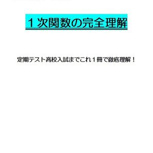 ※数学オリジナル単元別Part1 『1次関数の完全理解』 中学2年生 ◎紙版
