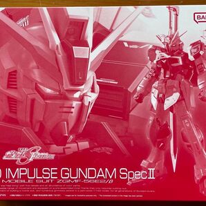 RG 1/144 ZGMF-56E2/β ソードインパルスガンダムSpecII ガンダムSEED FREEDOM