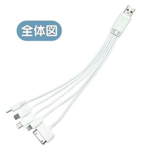USBケーブル 5in1 充電 minib microb lightning ライトニング