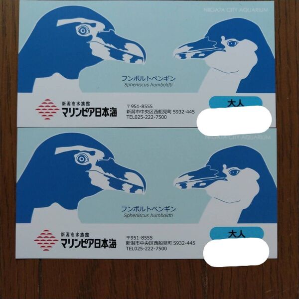 マリンピア日本海 入館券 入場券 大人2枚 チケット