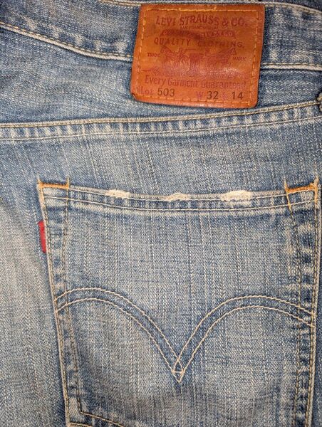 Levi Strauss & Co. 503 ショートパンツ W32 L14