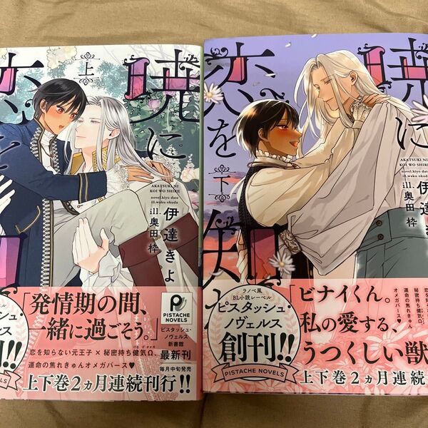 bl小説 暁に恋を知れ 上下巻