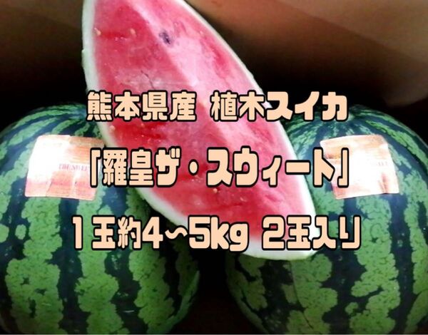 熊本県産 植木スイカ 羅皇ザ・スウィート 1玉約4~5kg 2玉入り 家庭用
