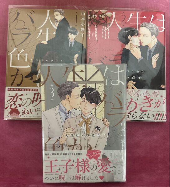 人生はバラ色か 山本小鉄子